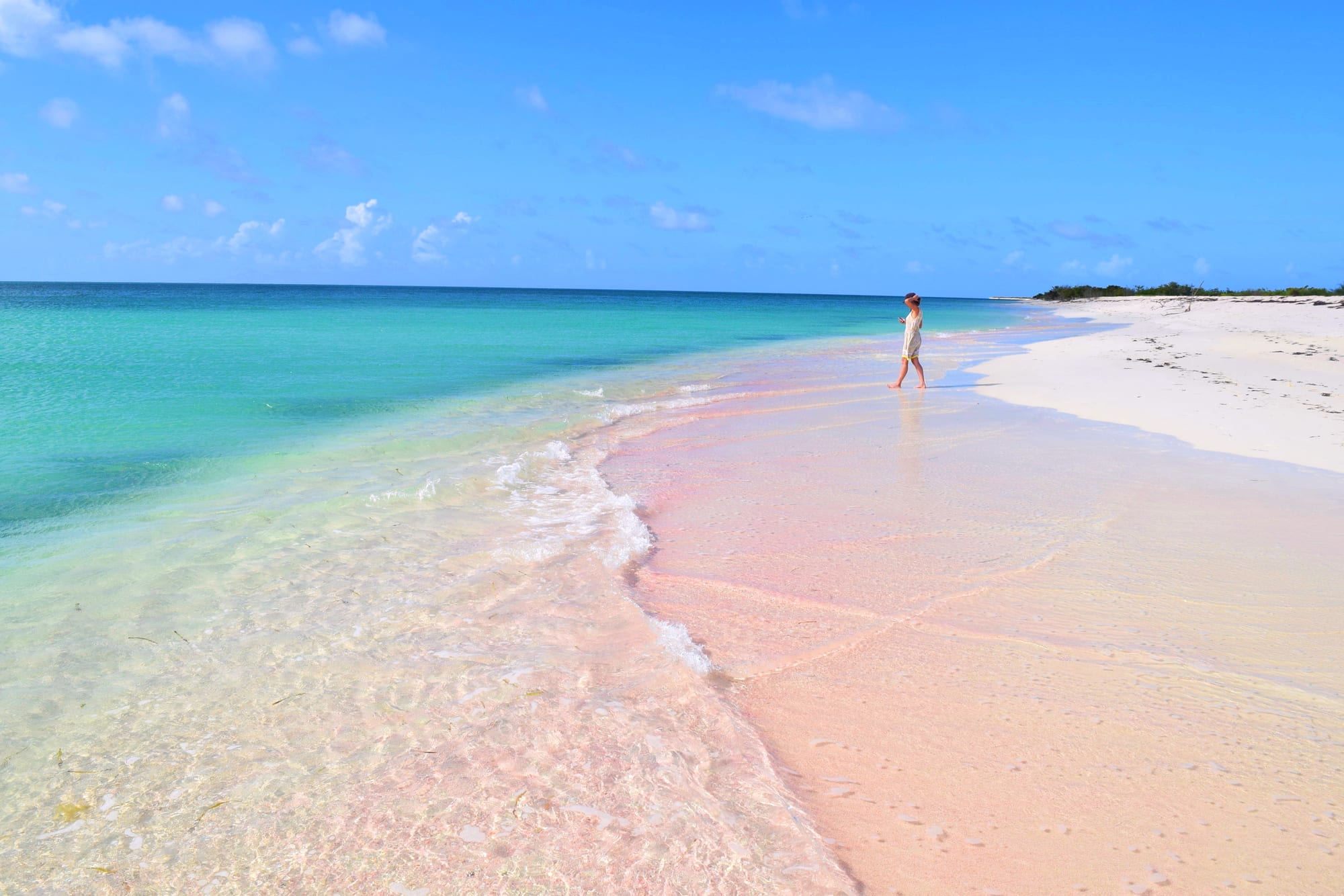 Cedar Tree Point, Barbuda — the pink sand shoreline at Cedar Tree Point