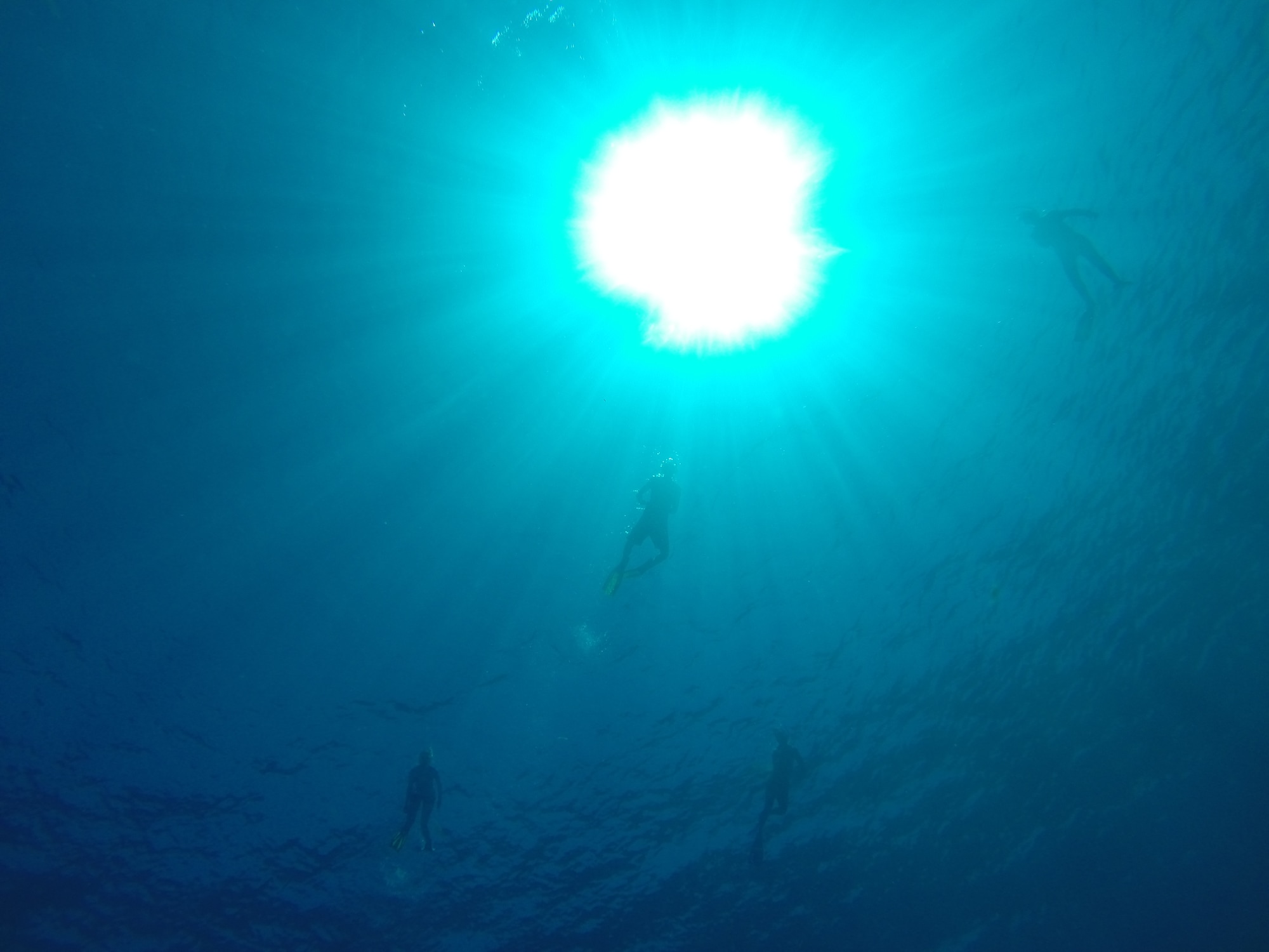 Grand Cayman, Cayman Islands — snorkellers silhouetted against sunlit waters at a Grand Cayman wreck dive site