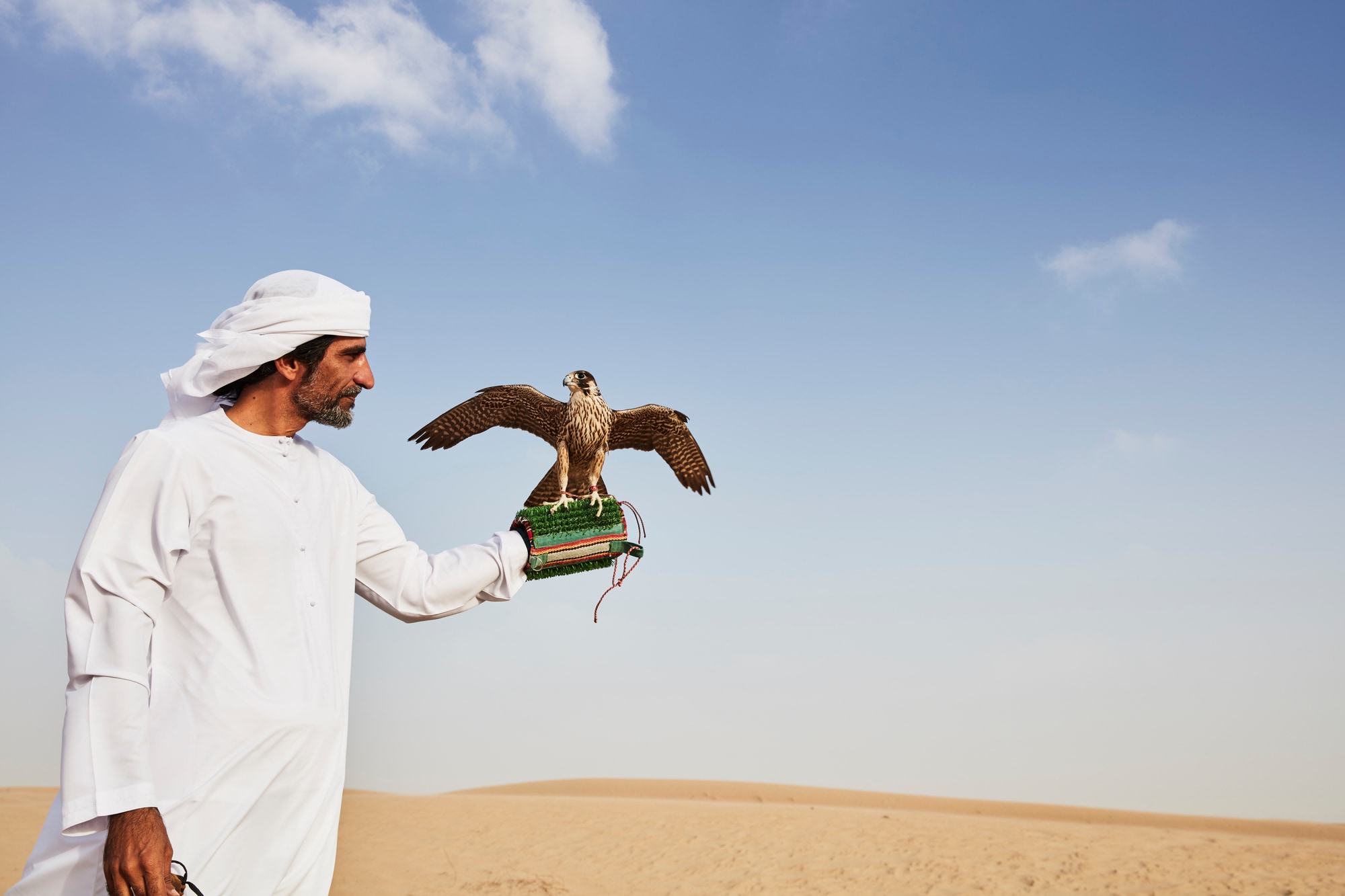 Middle East wildlife