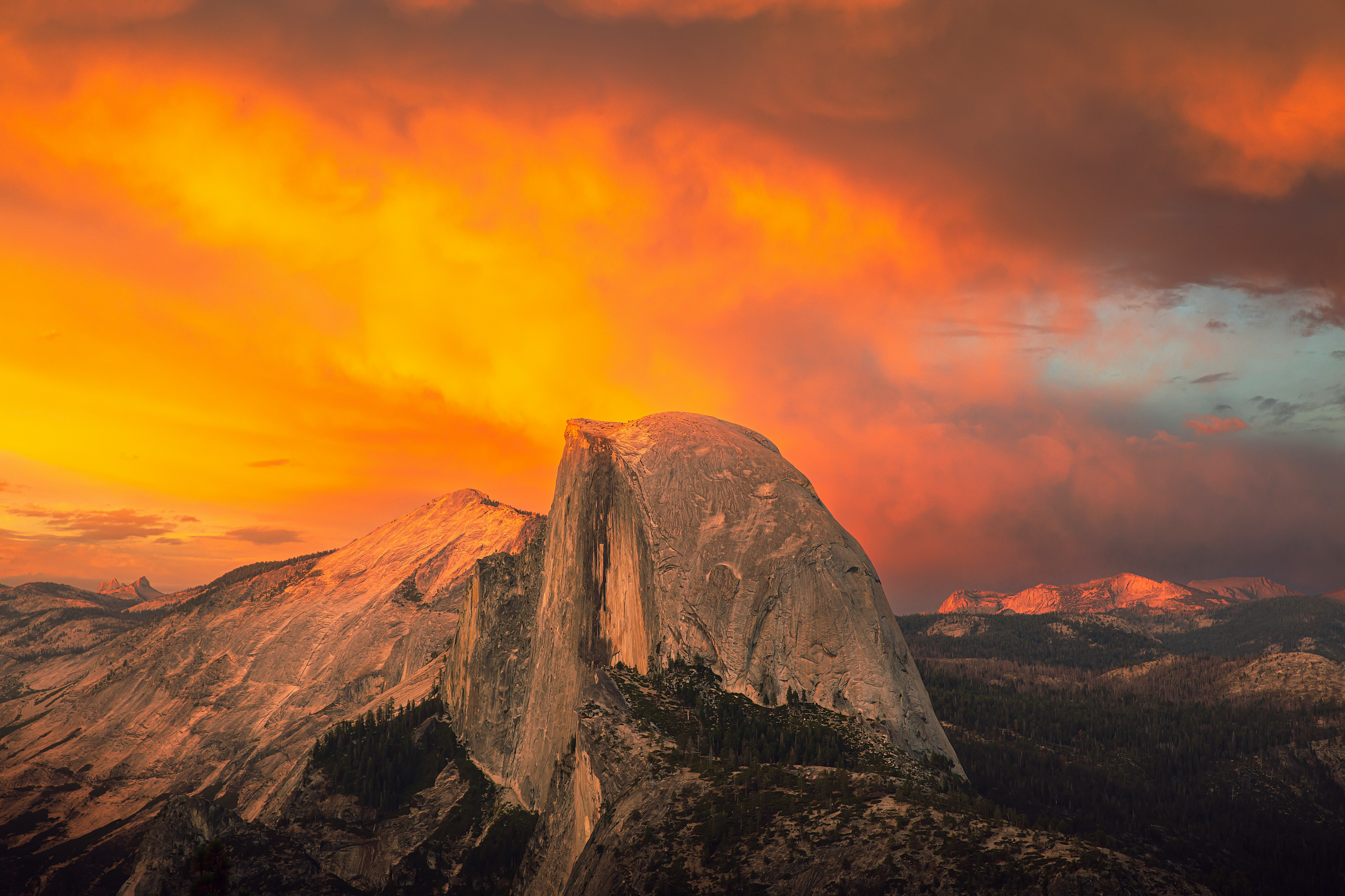 North America experience